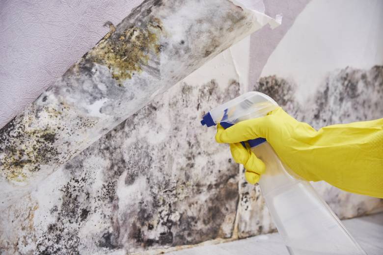 Zwarte schimmel in de slaapkamer verwijderen